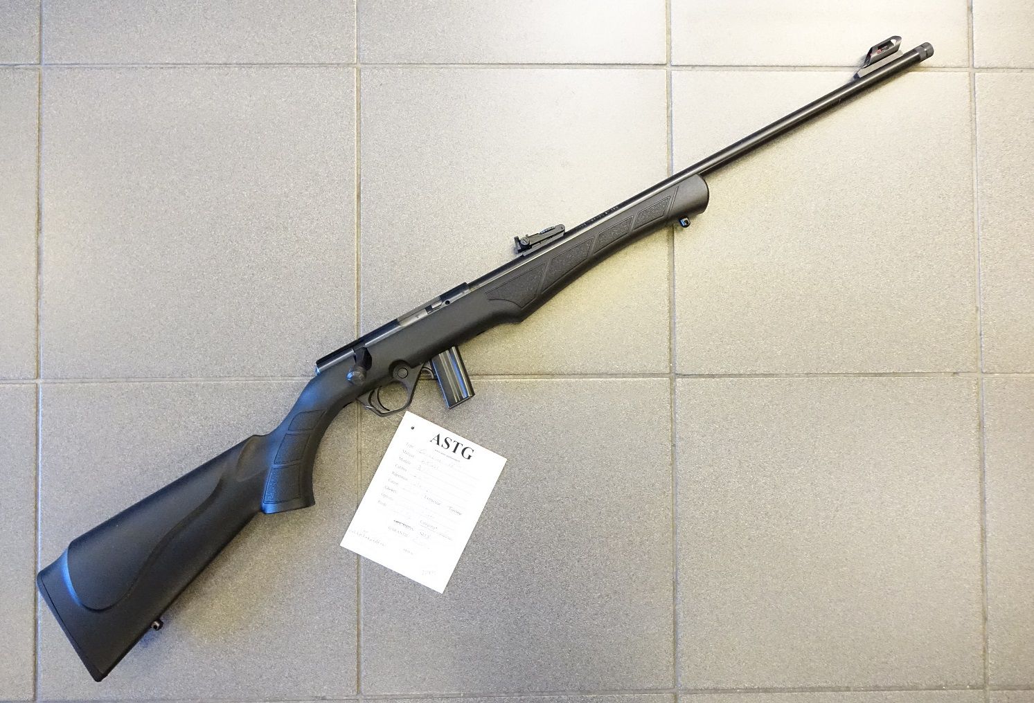 carabine-rossi-plinkster-8122-cal-22lr